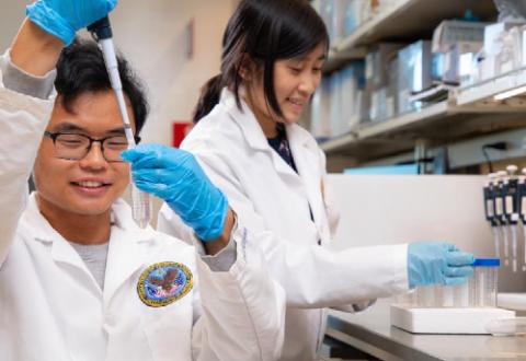 Summer 2023 VA-PAVIR internship students Kobe Ly and Xiaorong Guo are gaining valuable experience through lab work.